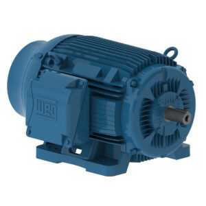 MOTORES TRIFASICOS W22