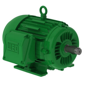 NEMA Super Premium - IEC IE4 foto 2